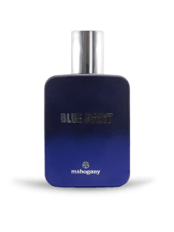 PERFUME BLUE SCENT 02