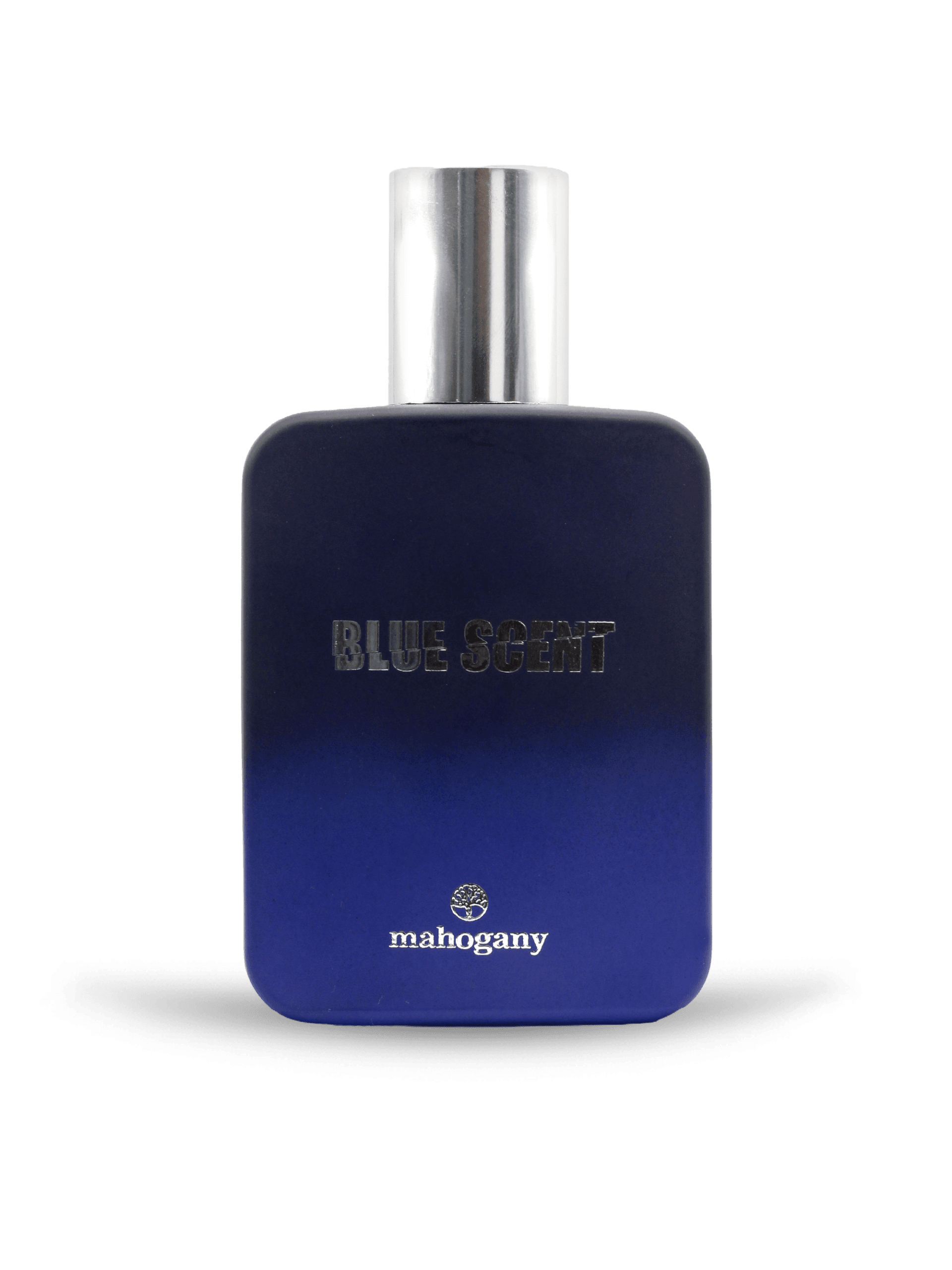 PERFUME BLUE SCENT 02