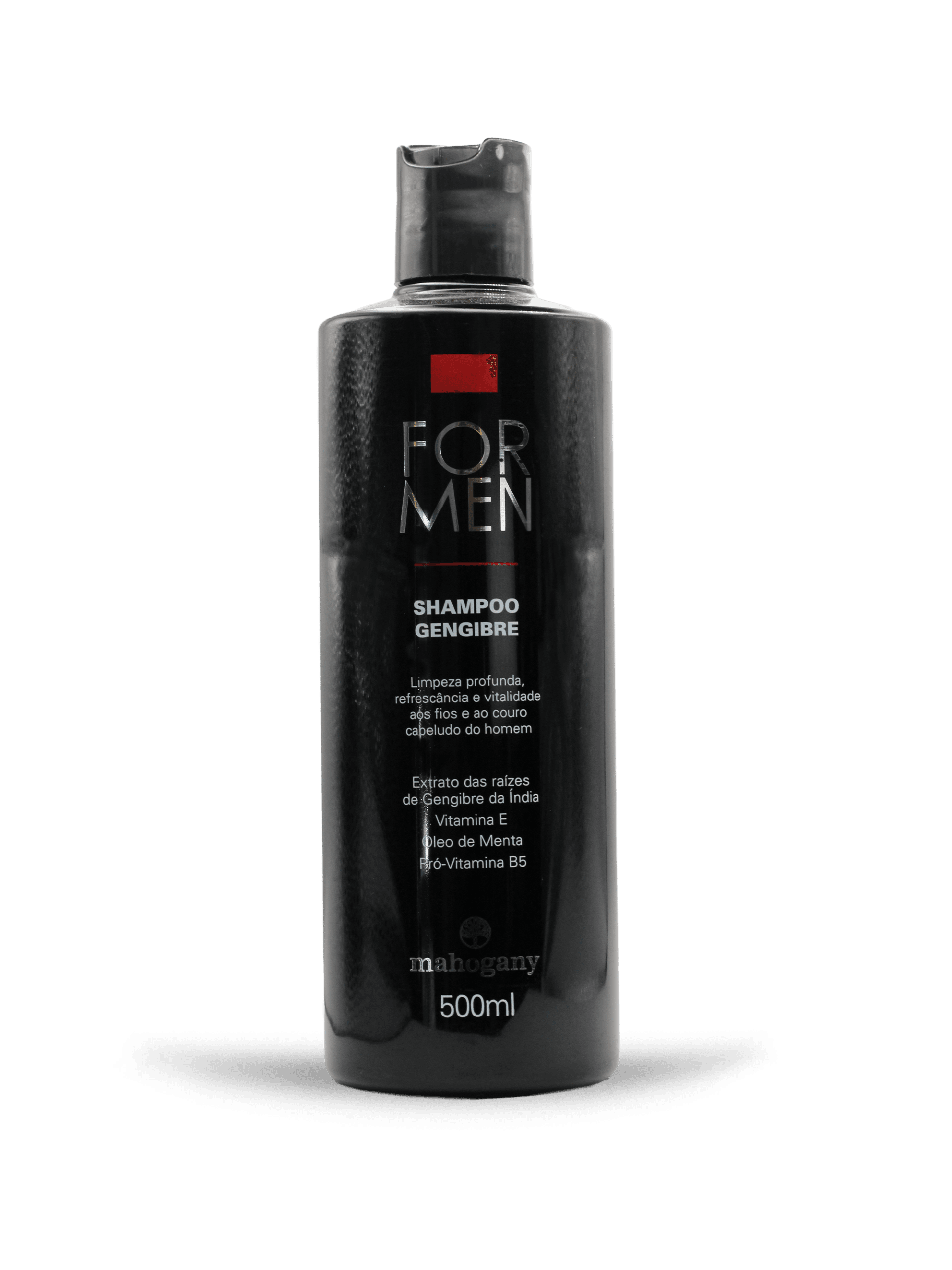 SHAMPOO GENGIBRE FOR MEN